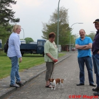 Nutzfahrzeugtreffen 2013